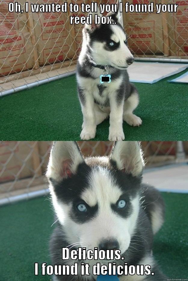 OH, I WANTED TO TELL YOU I FOUND YOUR REED BOX.. DELICIOUS.  I FOUND IT DELICIOUS. Insanity puppy