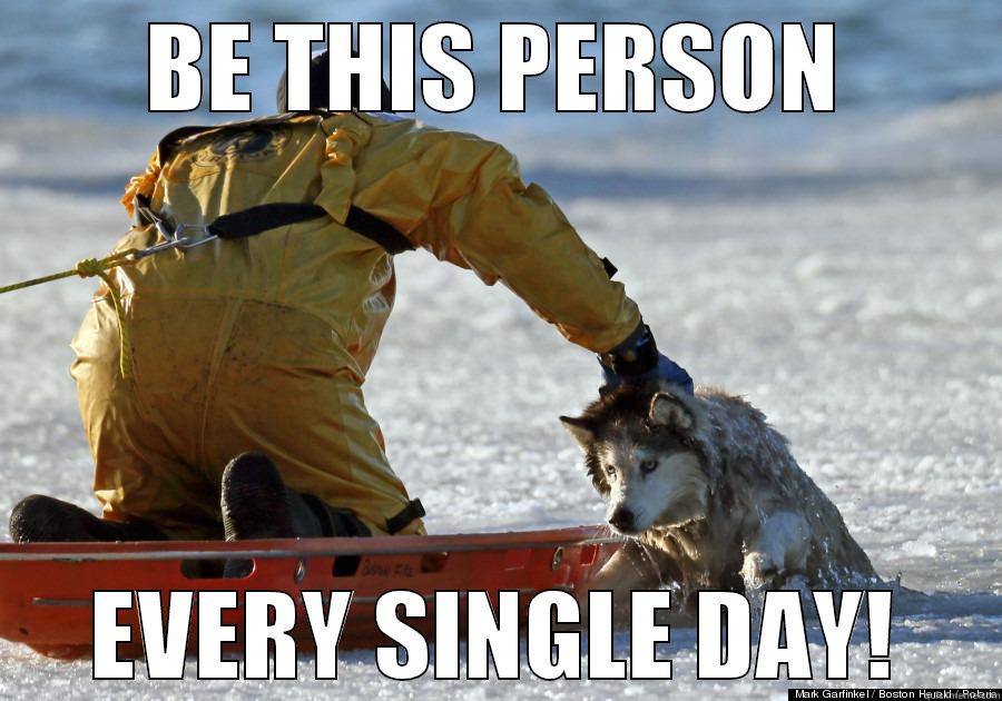 Rescue me - BE THIS PERSON EVERY SINGLE DAY! Misc