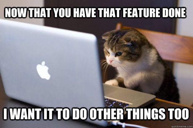 Now that you have that feature done I want it to do other things too - Now that you have that feature done I want it to do other things too  Web Developer Cat