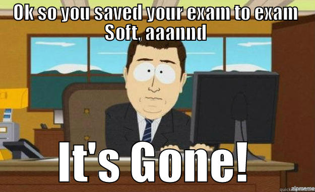 OK SO YOU SAVED YOUR EXAM TO EXAM SOFT, AAANND IT'S GONE! aaaand its gone