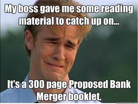 My boss gave me some reading material to catch up on... It's a 300 page Proposed Bank Merger booklet.  1990s Problems