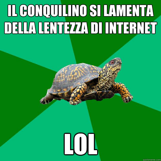 il conquilino si lamenta della lentezza di internet lol  Torrenting Turtle