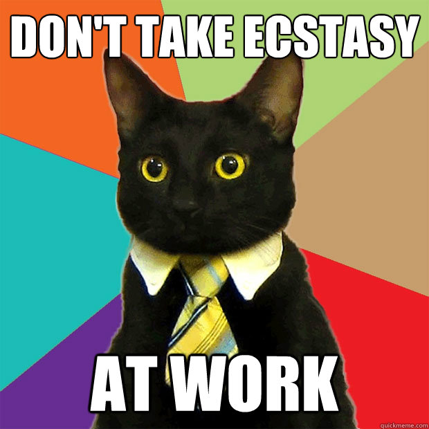 Don't take ecstasy at work  Business Cat