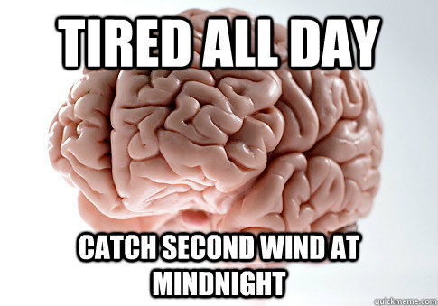 Tired All Day Catch Second Wind at Mindnight - Tired All Day Catch Second Wind at Mindnight  Scumbag Brain