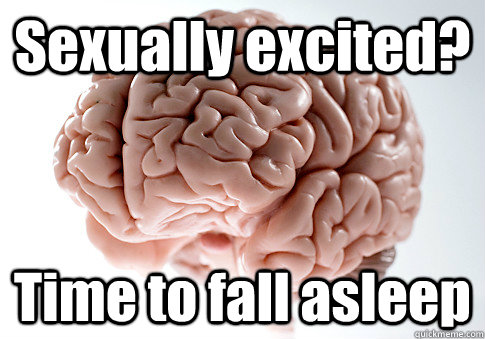 Sexually excited? Time to fall asleep   Scumbag Brain