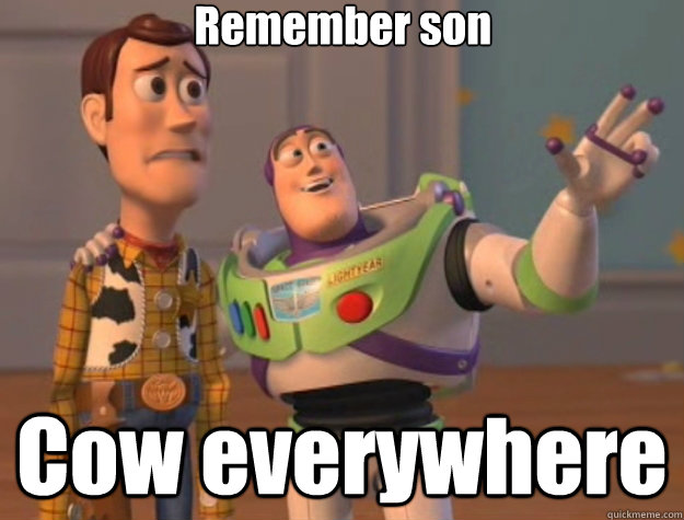 Remember son Cow everywhere  Toy Story