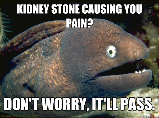 Kidney stone causing you pain? Don't worry, it'll pass.    Bad Joke Eel