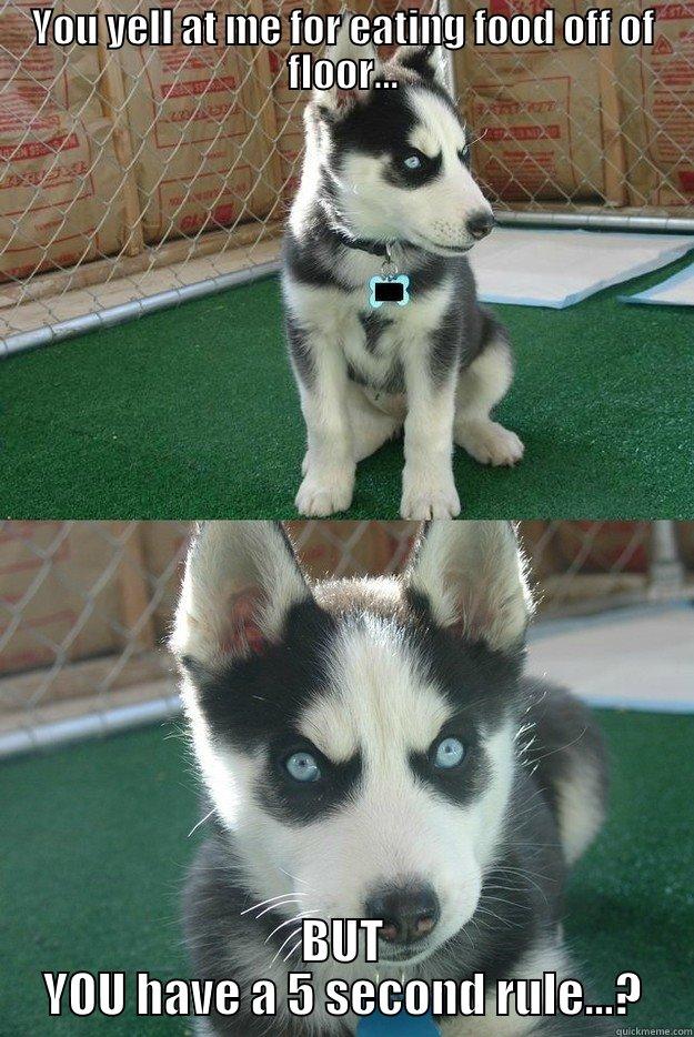 I get yelled at for eating food off of the floor... - YOU YELL AT ME FOR EATING FOOD OFF OF FLOOR... BUT YOU HAVE A 5 SECOND RULE...? Insanity puppy