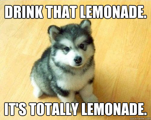 drink that lemonade. it's totally lemonade.  Baby Courage Wolf