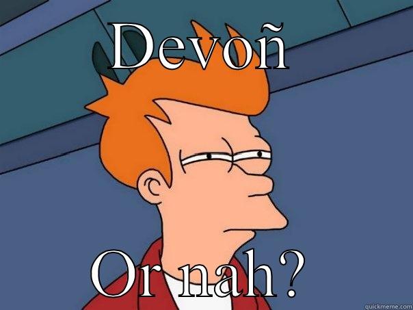 DEVOÑ OR NAH? Futurama Fry