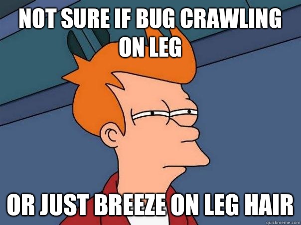 Not sure if bug crawling on leg Or just breeze on leg hair  Futurama Fry