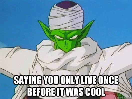 Saying you only live once before it was cool - Saying you only live once before it was cool  piccolo yolo