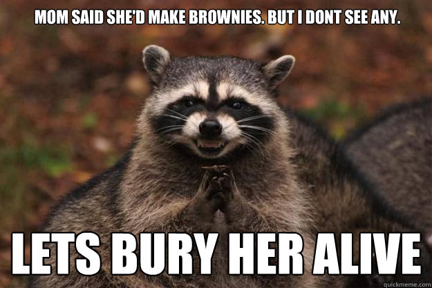 Mom said she'd make brownies. But I dont see any. Lets bury her alive - Mom said she'd make brownies. But I dont see any. Lets bury her alive  Evil Plotting Raccoon