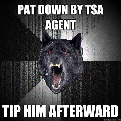 pat down by tsa agent tip him afterward  - pat down by tsa agent tip him afterward   Insanity Wolf