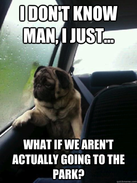 I don't know man, I just... What if we aren't actually going to the park?  Introspective Pug