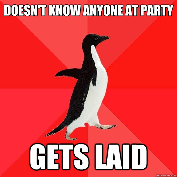 doesn't know anyone at party gets laid  Socially Awesome Penguin