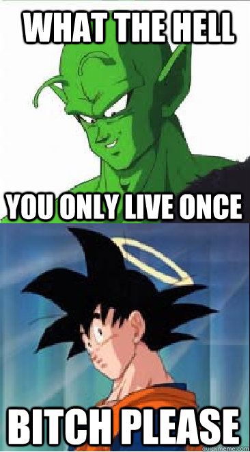 What the hell you only live once Bitch please  Goku dissing Piccolo