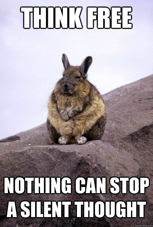 Think free Nothing can stop a silent thought  Wise Wondering Viscacha