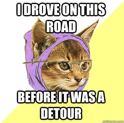 I drove on this road before it was a detour   Hipster Kitty