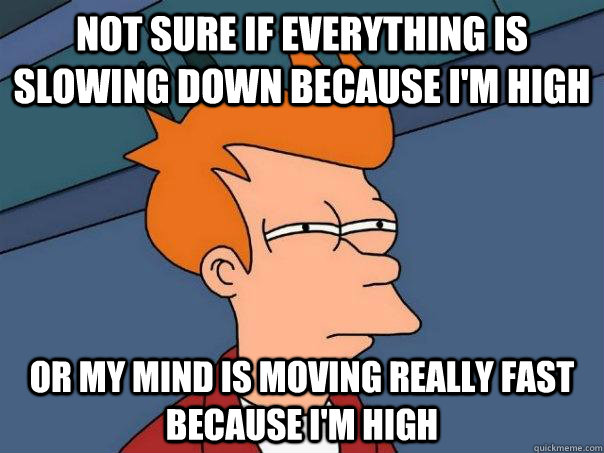 Not sure if everything is slowing down because i'm high Or my mind is moving really fast because i'm high - Not sure if everything is slowing down because i'm high Or my mind is moving really fast because i'm high  Futurama Fry