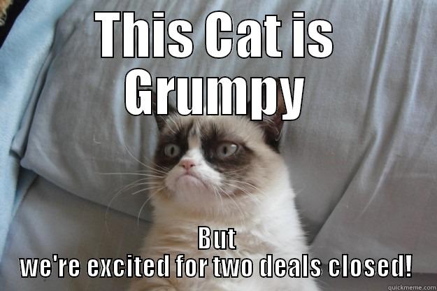 More Cowbell - THIS CAT IS GRUMPY BUT WE'RE EXCITED FOR TWO DEALS CLOSED! Grumpy Cat