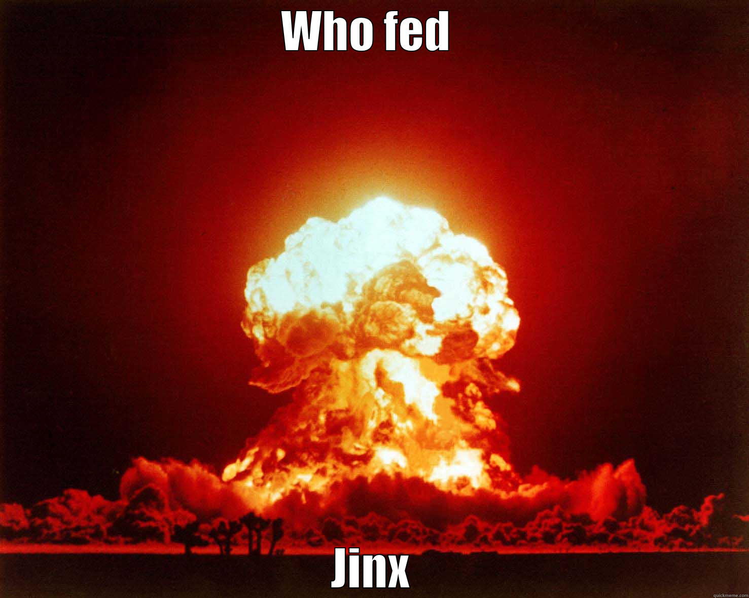 WHO FED  JINX Misc