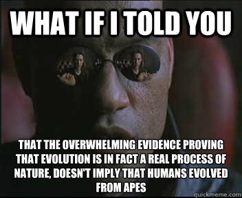 What if I told you That the overwhelming evidence proving that evolution is in fact a real process of nature, doesn't imply that humans evolved from apes - What if I told you That the overwhelming evidence proving that evolution is in fact a real process of nature, doesn't imply that humans evolved from apes  Misc