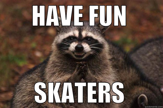 HAVE FUN SKATERS Evil Plotting Raccoon