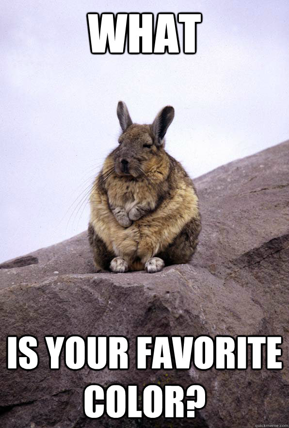 WHAT Is your favorite color? - WHAT Is your favorite color?  Wise Wondering Viscacha