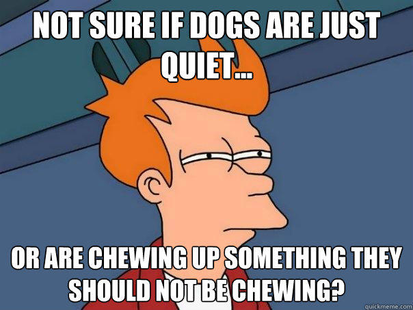 NOT SURE IF DOGS ARE JUST QUIET... OR ARE CHEWING UP SOMETHING THEY SHOULD NOT BE CHEWING?  Futurama Fry