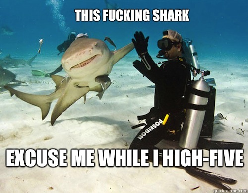 Excuse me while I high-five This fucking shark  Shark High-Five