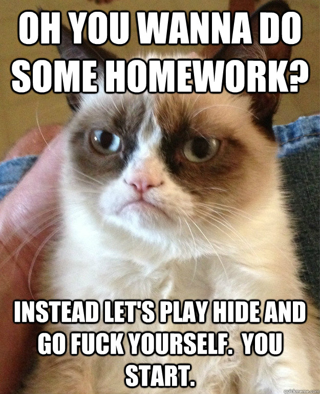 Oh you wanna do some homework? Instead let's play hide and go fuck yourself.  You start.  Grumpy Cat