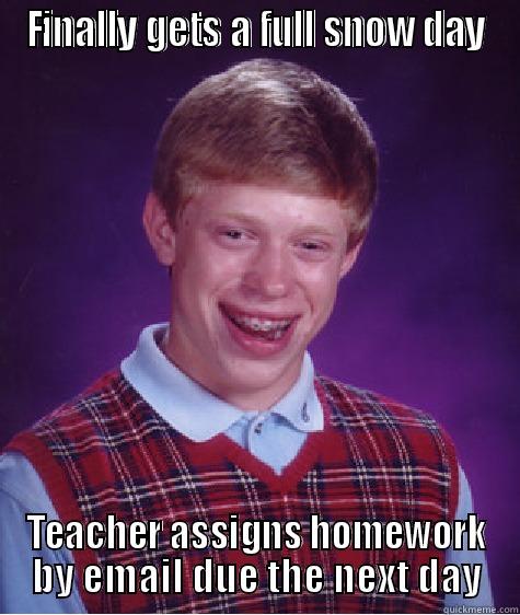 FINALLY GETS A FULL SNOW DAY TEACHER ASSIGNS HOMEWORK BY EMAIL DUE THE NEXT DAY Bad Luck Brian