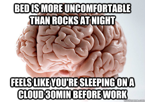 Bed is more uncomfortable than rocks at night  Feels like you're sleeping on a cloud 30min before work  Scumbag Brain