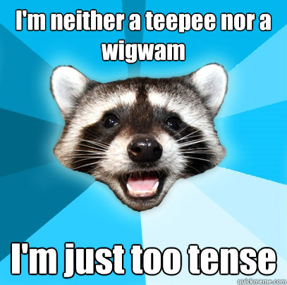 I'm neither a teepee nor a wigwam I'm just too tense - I'm neither a teepee nor a wigwam I'm just too tense  Lame Pun Coon