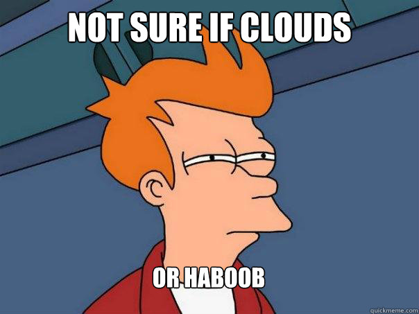 Not sure if clouds Or haboob  Futurama Fry