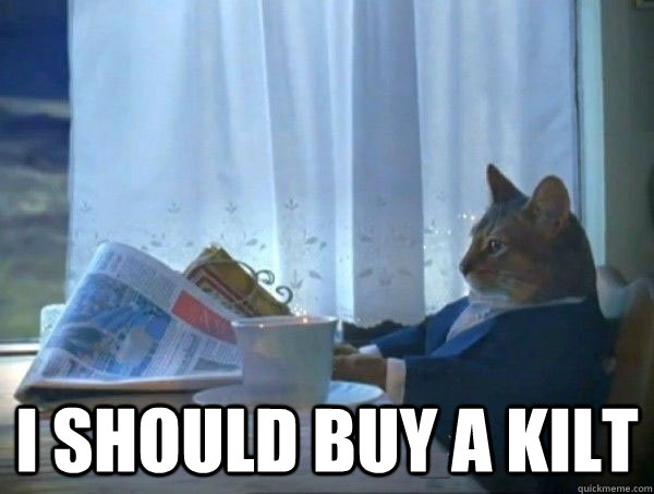  I should buy a kilt  morning realization newspaper cat meme