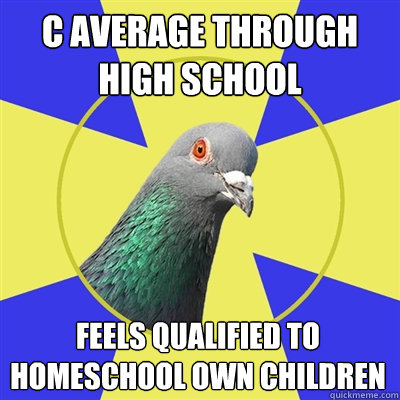 C Average through high school feels qualified to homeschool own children  Religion Pigeon