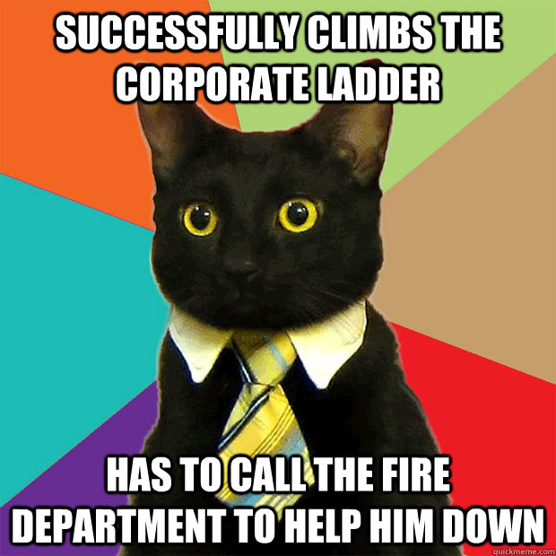 Successfully climbs the corporate ladder Has to call the fire department to help him down  Business Cat