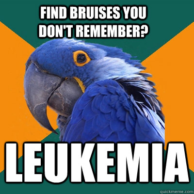 Find bruises you don't remember? LEUKEMIA - Find bruises you don't remember? LEUKEMIA  Paranoid Parrot