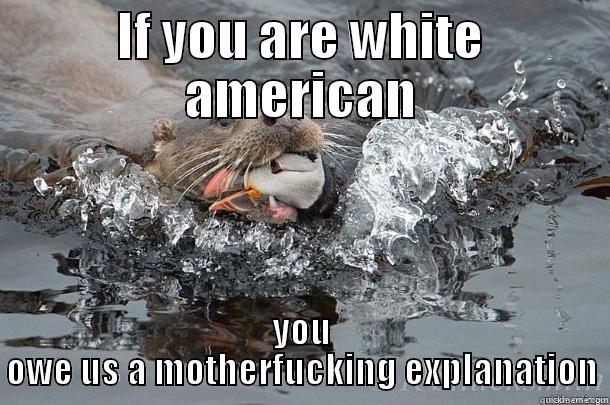 IF YOU ARE WHITE AMERICAN YOU OWE US A MOTHERFUCKING EXPLANATION Misc