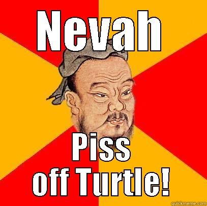 NEVAH PISS OFF TURTLE! Confucius says