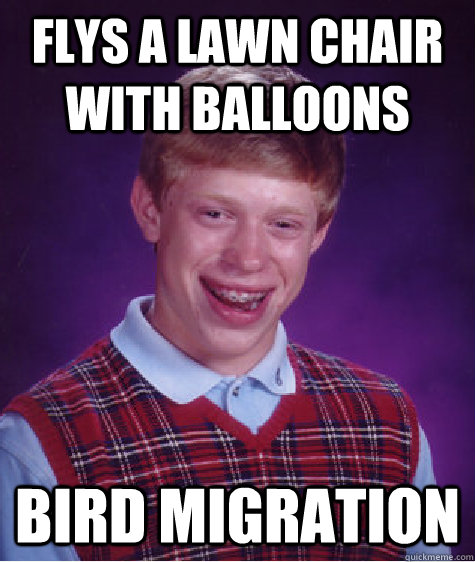 flys a lawn chair with balloons bird migration   Bad Luck Brian