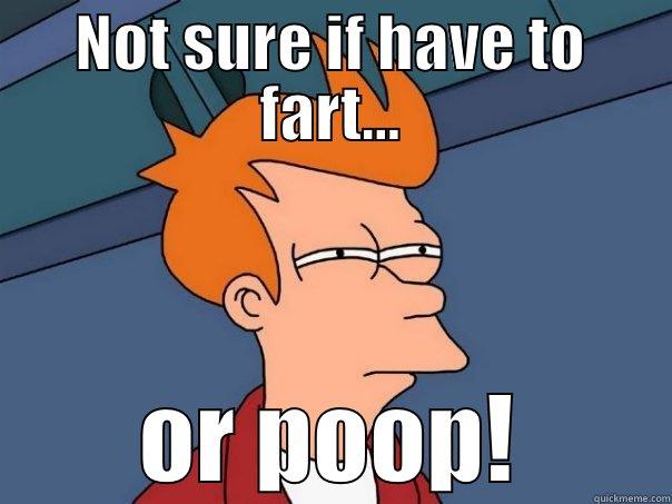 fart or poop - NOT SURE IF HAVE TO FART... OR POOP! Futurama Fry