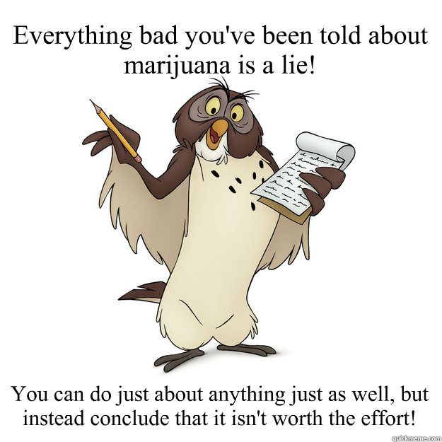 Everything bad you've been told about marijuana is a lie! You can do just about anything just as well, but instead conclude that it isn't worth the effort! - Everything bad you've been told about marijuana is a lie! You can do just about anything just as well, but instead conclude that it isn't worth the effort!  Cold rationality with Dr. Owl.