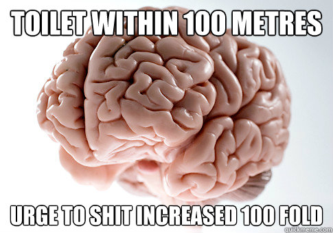 toilet within 100 metres urge to shit increased 100 fold  Scumbag Brain