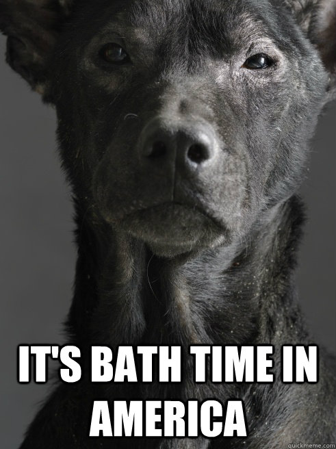  IT's BATH TIME IN AMERICA  CLINT EASTWOOD DOG