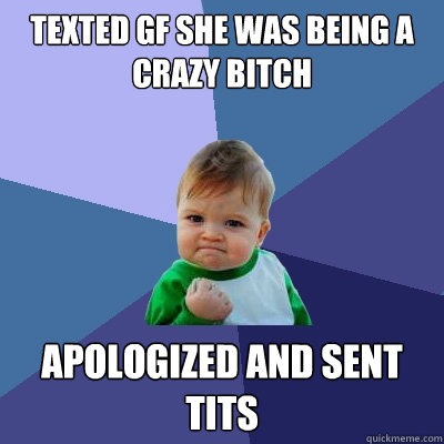 texted gf she was being a crazy bitch apologized and sent tits  Success Kid