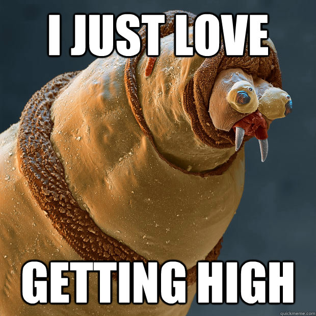 I Just Love Getting High - I Just Love Getting High  Misc