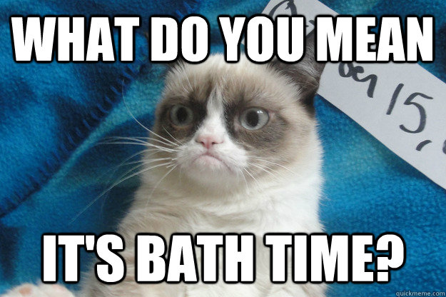 what-do-you-mean-it-s-bath-time-grumpy-cat-quickmeme